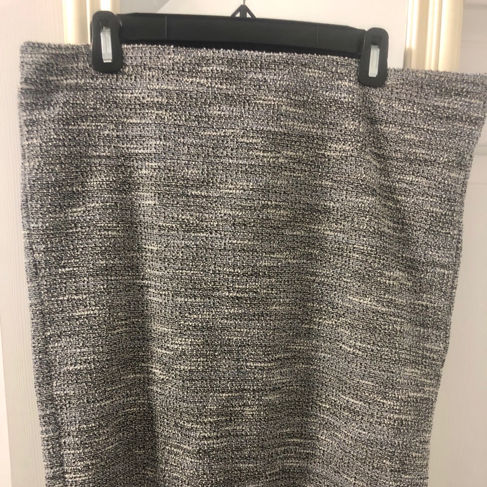 NWT Loft skirt